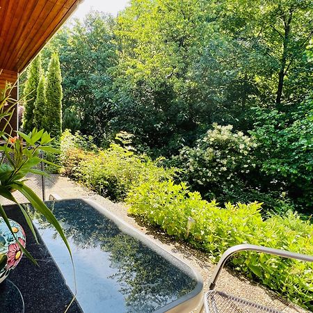 Vor Lauter Baeumen B&B Zorge Exterior foto