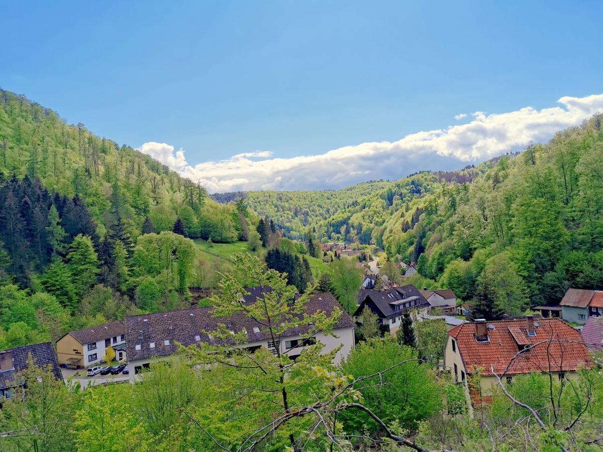 Vor Lauter Baeumen B&B Zorge Exterior foto