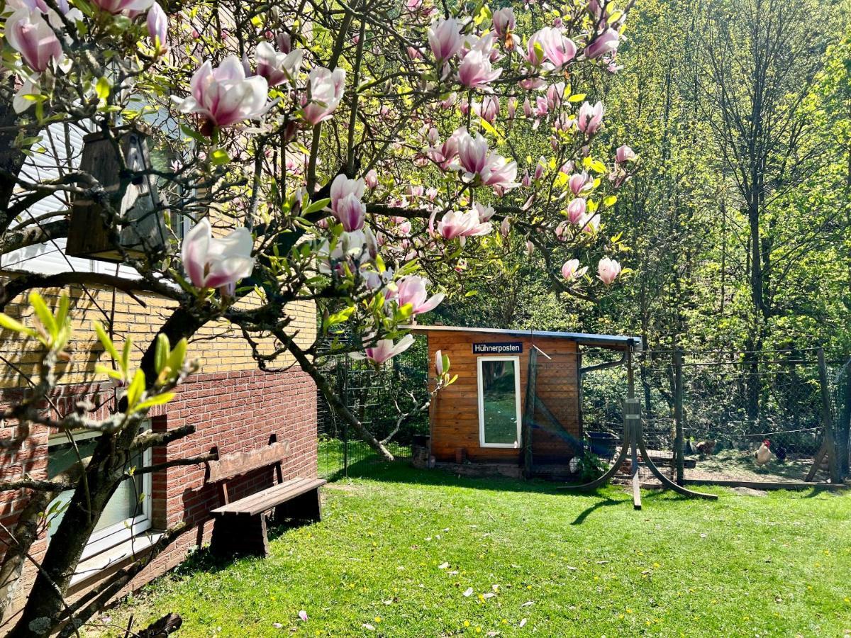 Vor Lauter Baeumen B&B Zorge Exterior foto