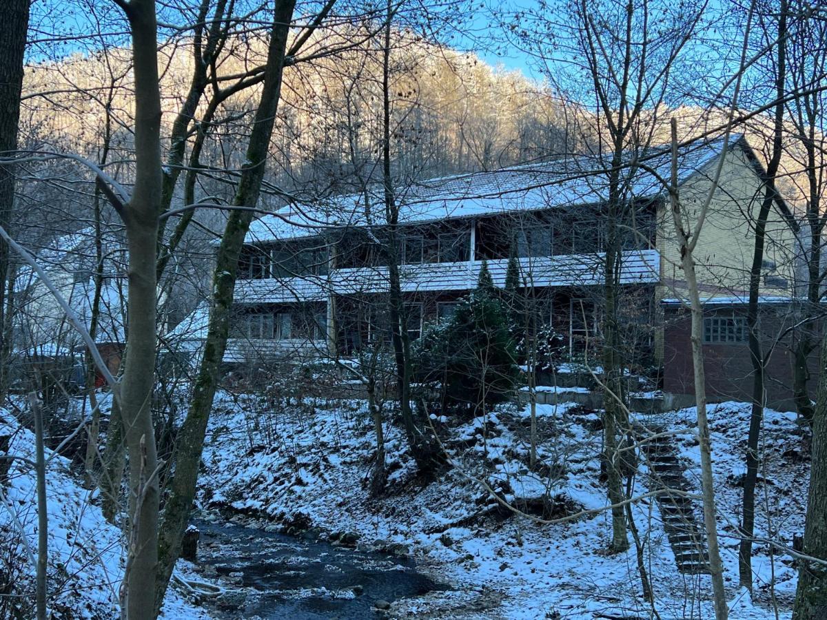 Vor Lauter Baeumen B&B Zorge Exterior foto