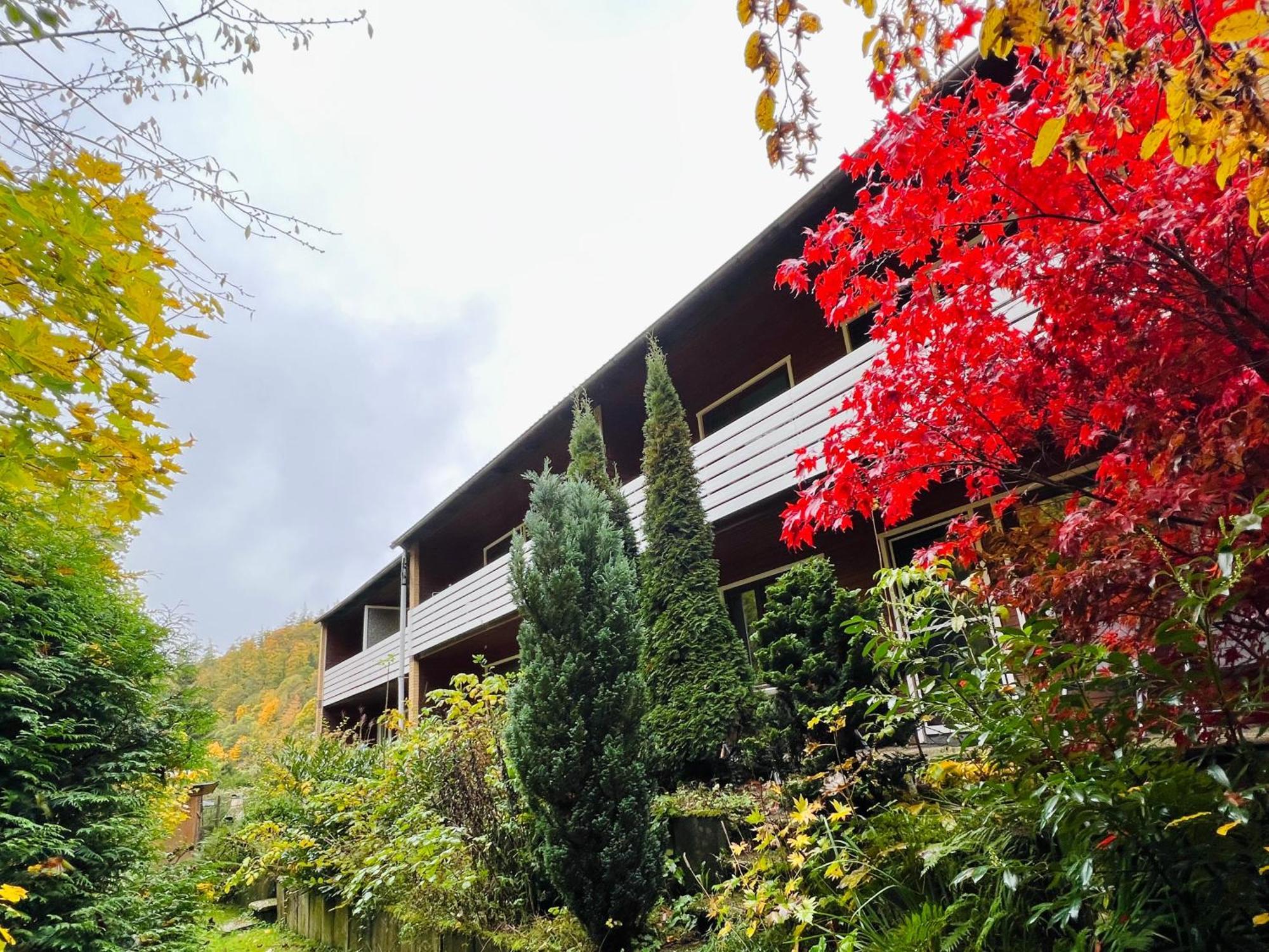 Vor Lauter Baeumen B&B Zorge Exterior foto