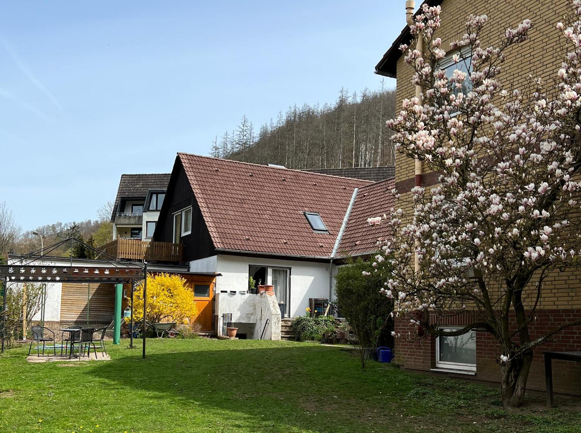 Vor Lauter Baeumen B&B Zorge Exterior foto