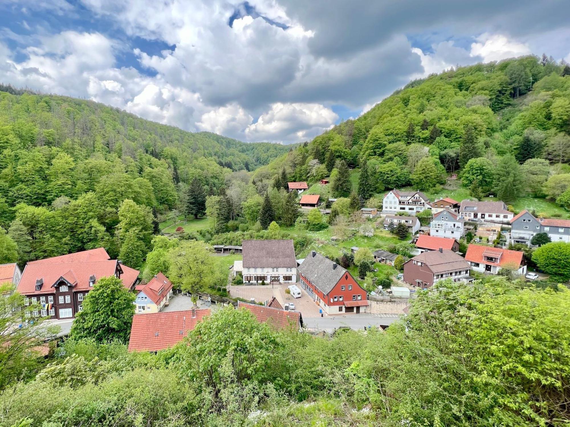 Vor Lauter Baeumen B&B Zorge Exterior foto