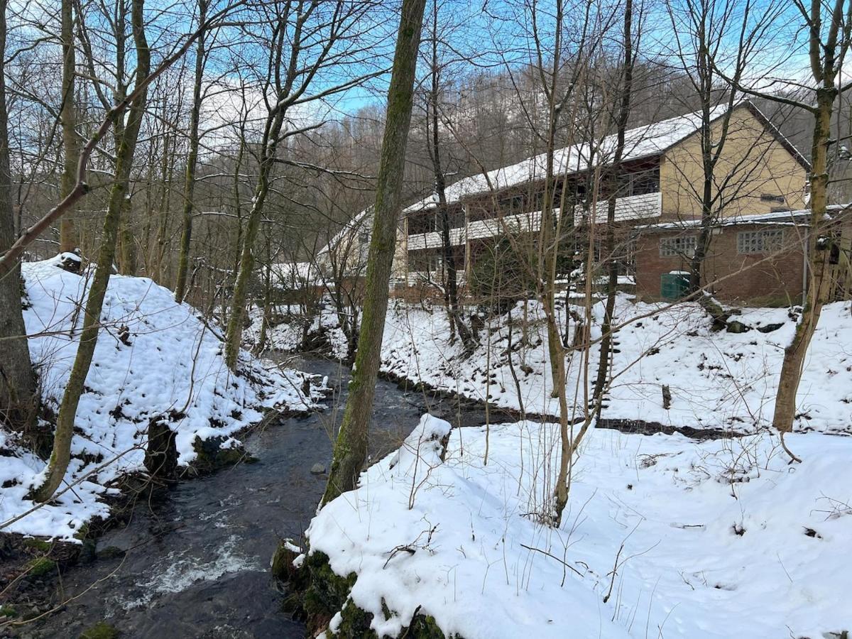 Vor Lauter Baeumen B&B Zorge Exterior foto